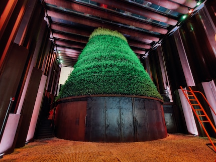 Edible plants grow on the outside of the biotope.
