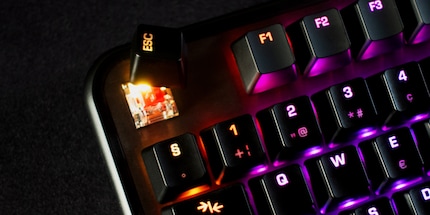 TTC Red Switches