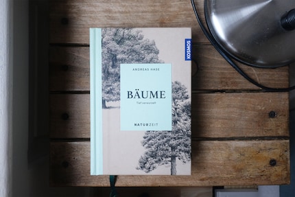 Hierauf gründet mein gesamtes Baumwissen.