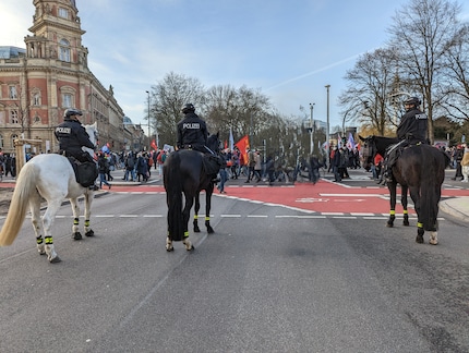 Der magische Radierer hat ein Pferd verschwinden lassen.