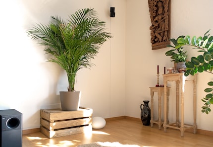 The right double cube speaker is five and a half metres away from the left one.