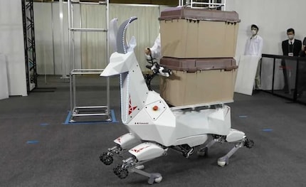 Die Geiss kann auch Kisten tragen. Bild: ruetir.com.
