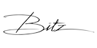 Logo of the Bitz brand