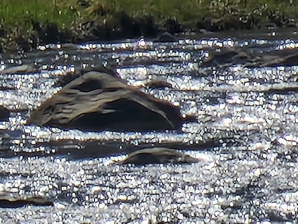 Samsung Galaxy S22 Ultra, 100x zoom