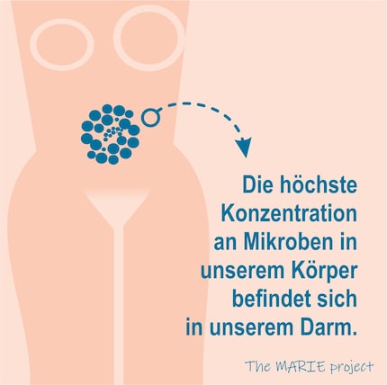 Aufklärung geht auch via Instagram.