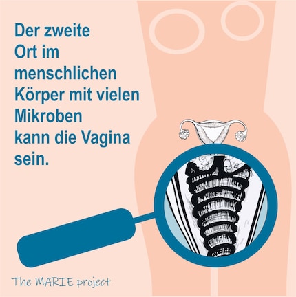 Wissenswertes zum Thema findest du auf dem Account @themarieproject_ch