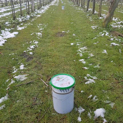 My brother distributed about 400 of these paraffin candles around his farm before the frosty night.