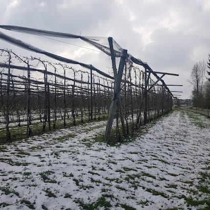 It’s early April and there’s snow on my brother’s farm.