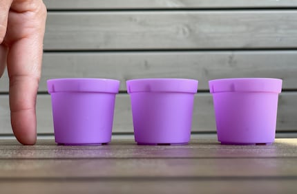 Herzig, aber winzig: Die lila Töpfchen sind um einiges kleiner, als ich sie mir vorgestellt habe.