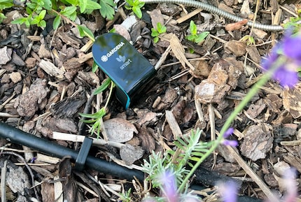 The sensor is the Gardena system’s sense of touch. It knows how damp the soil is and whether it needs to be watered.