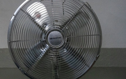 Mit dem mechanischen Verschluss kann es keinen Rolling-Shutter-Effekt geben.