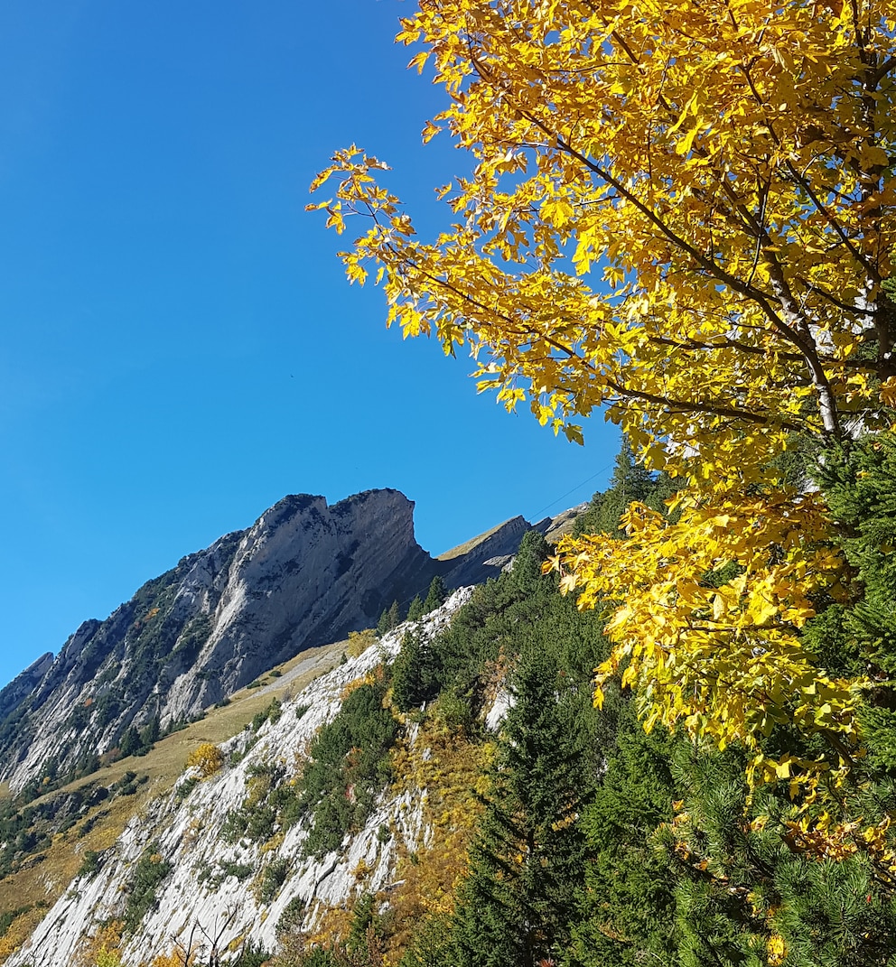 During our hike, autumn revealed its splendour.