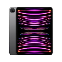 Apple iPad Pro 2022 (6th Gen) (WLAN only, 12.90", 256 GB, Space Grey)
