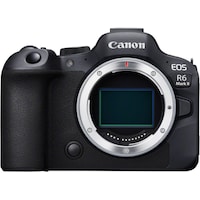 Canon EOS R6 Mark II (24.20 Mpx, Vollformat)
