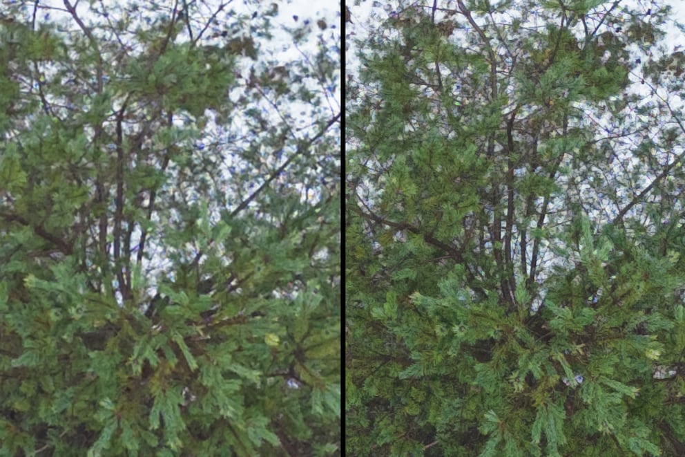 At high magnification, the Mini 3 Pro (right) clearly demonstrates a better resolution of the 48-megapixel mode. But it’s not four times better by a long chalk.