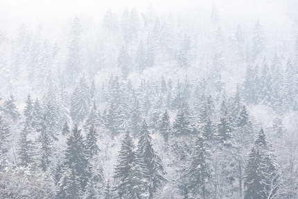 When it comes to landscape photos, you’ll get more from other cameras. However, the differences are minor.