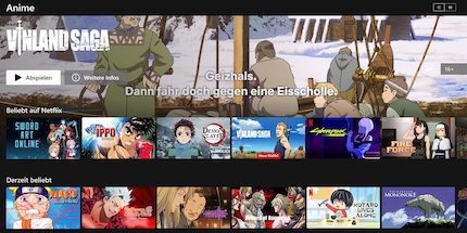 Nach dem Klick auf den Anime-Hyperlink: Jetzt kann ich viel besser nach Anime-Inhalten stöbern als vorher.