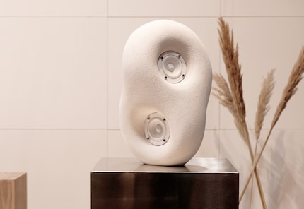 In the design «Acoustic Sculpture», Transparent combines organic and geometric shapes to create a sculptural speaker.
