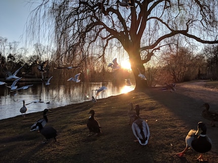 Als die Sonne langsam untergeht, mache ich noch mal einen kleinen Abstecher ans Wasser und komme doch noch in den Genuss einiger Sonnenstrahlen.