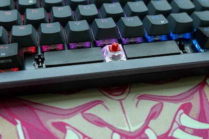Selbst unter der Leertaste platziert Asus Dämmmaterial.