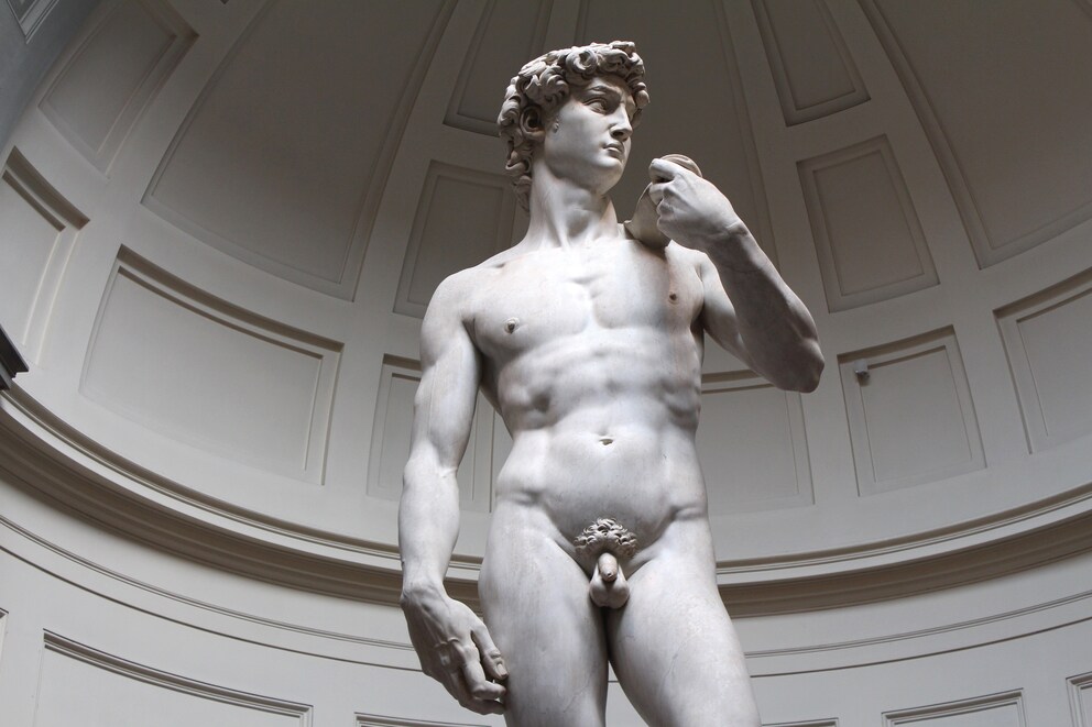Michelangelo’s David: the epitome of a Renaissance sculpture, as inspired by supposed ancient art, and which Hitler would certainly have liked to have in his collection.