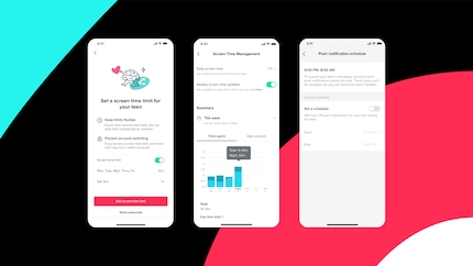 More information on usage time and more options for setting it - that's what TikTok promises for the coming weeks.