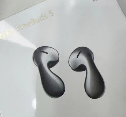 Die geleakten Buds mit einem ungewöhnlichen Design.