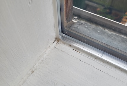 Sieht zwar schon viel besser aus. Doch perfekt ist es leider nicht geworden.