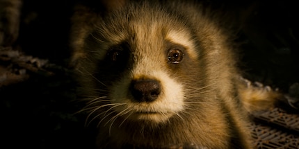 When Rocket’s story is the main focus, things get seriously emotional.