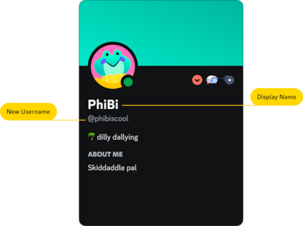 So sieht das neue Namensystem in Discord aus.