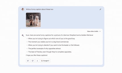 You will soon be able to set Bard tasks with images too.