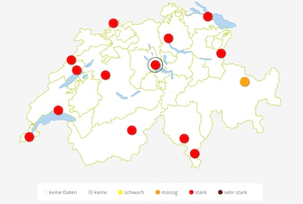 The prospect of Whitsun pollen: hay fever season is at its peak – the grass pollen count in particular is high at the moment.
