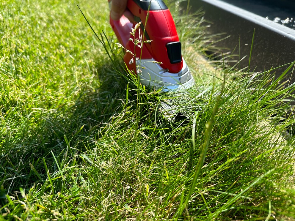 The robot lawnmower has left some blades of grass around the edge of the fountain.
