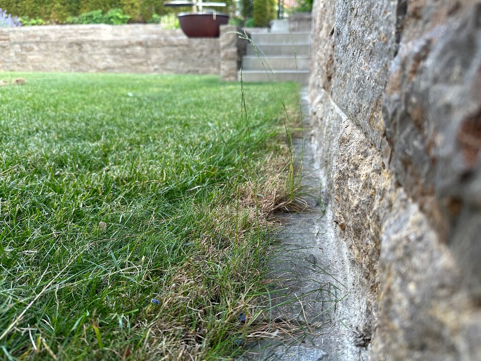 The lawn has spread over the beautiful edging stone. What a cheek.