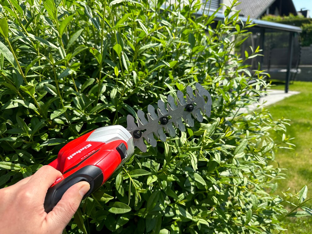 Dear Einhell, what about pruning a shrub? Yip, you can do that, too.