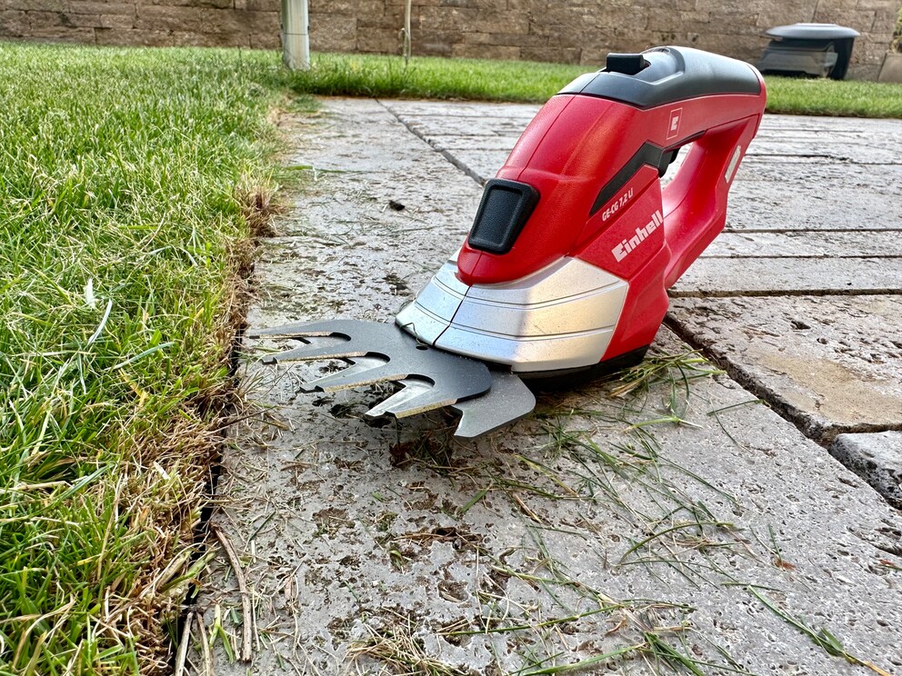 A neat finishing edge between the lawn and seating area warms this stuffy old man’s heart.
