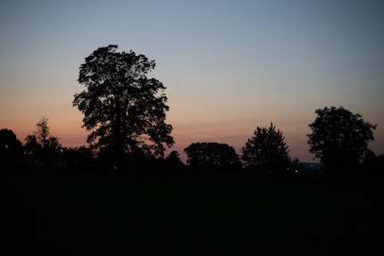 Das RAW-Bild unbearbeitet, also mit den Standard-Einstellungen von Lightroom.