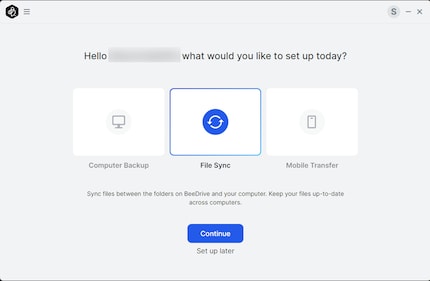 During the initial setup, you can choose between backup, file synchronisation or mobile transfer.