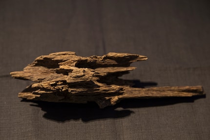 Das Holz des Adlerbaumes, auch Agarh-Holz oder Agarwood genannt.