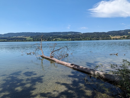 Google Pixel 7 Pro: the comparison photo is much closer to reality.