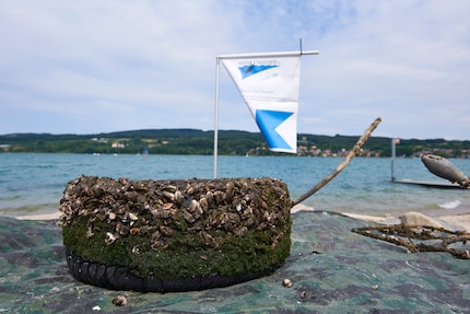 Ein Autoreifen, der im Bodensee entsorgt und jetzt herausgefischt wurde.