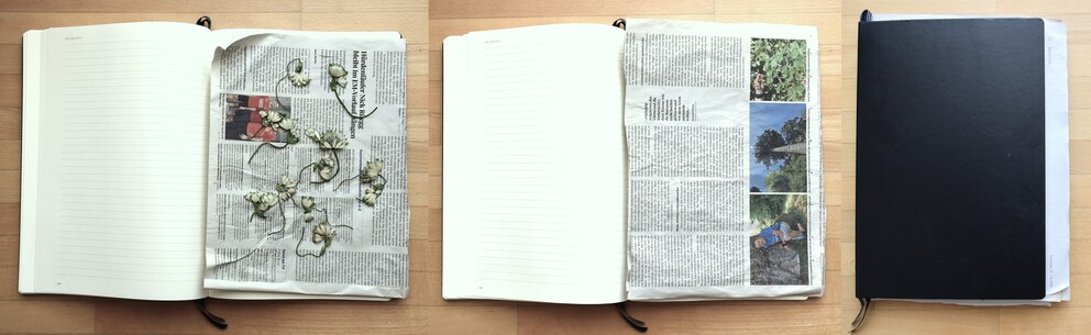 Platzieren, bedecken, zuklappen: So können Blumen einfach in einem Buch gepresst werden.