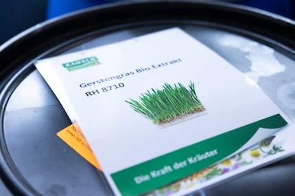In den blauen Fässern werden die Extrakte aufbewahrt.