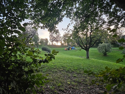 You can capture great photos even at dusk.