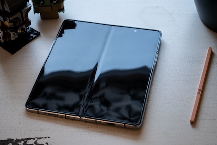 …it has a more pronounced crease.
