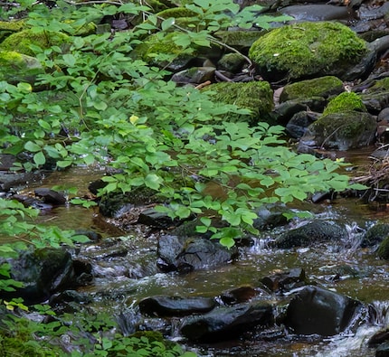 With noise removal, even an ISO 10,000 photo looks good.