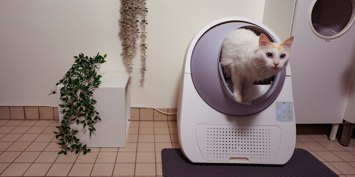 Instant filter litter box scooper deals