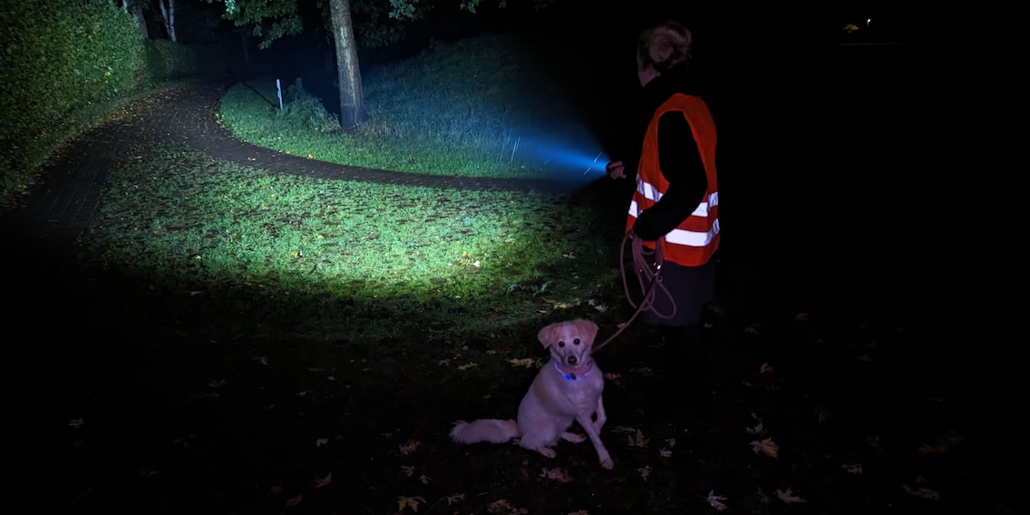 Spaziergang im Dunkeln: So schützt du dich und deinen Hund