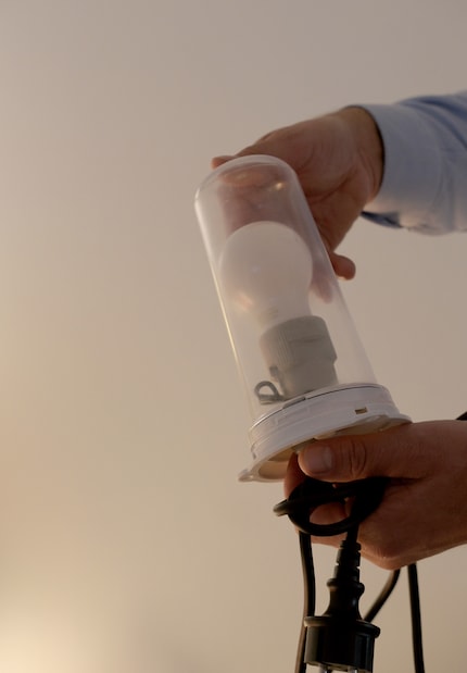 Every lamp has the same lighting options.
