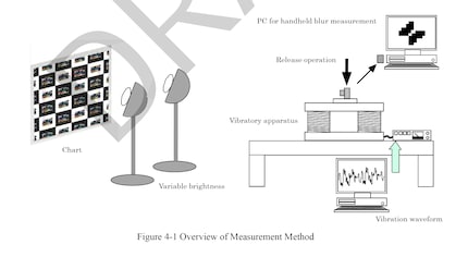 Diagram of the testing procedure.